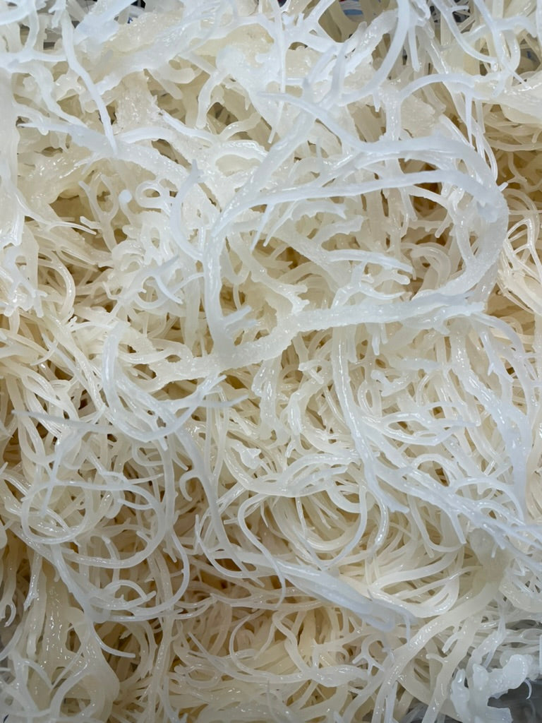 Sea Moss (Eucheuma Cottonii) - Bulk Dried