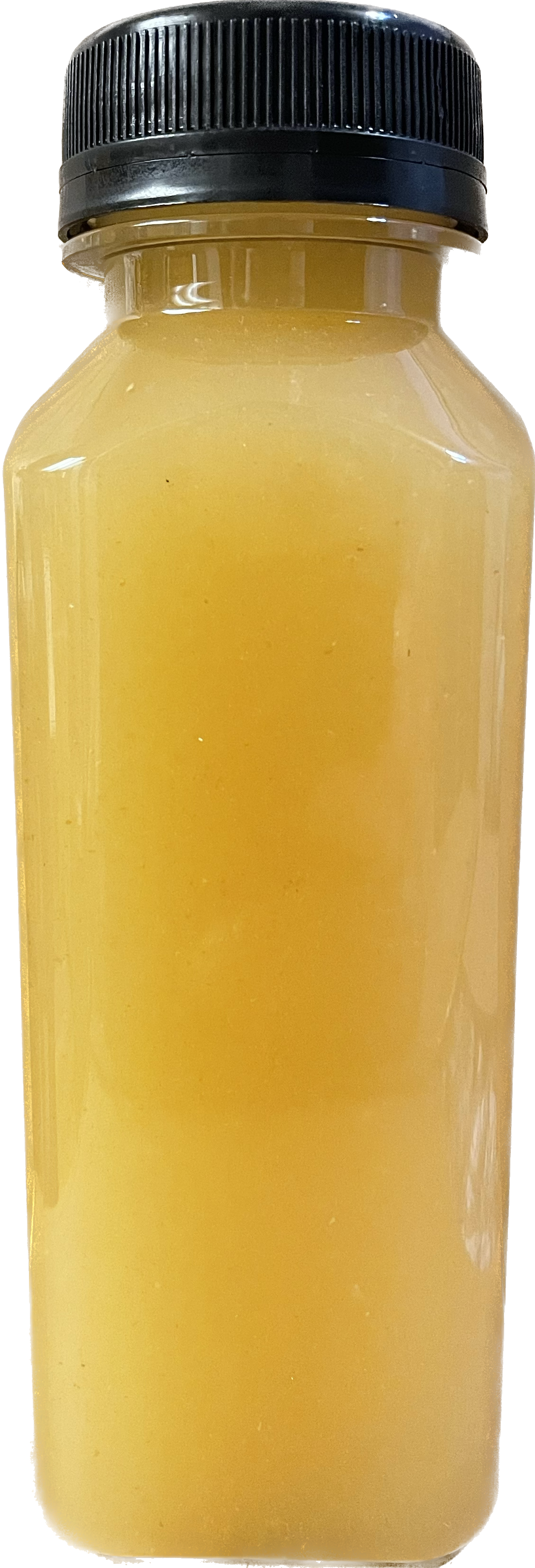 Sea Moss Juices | Sea Moss Beverages | Denver Sea Moss