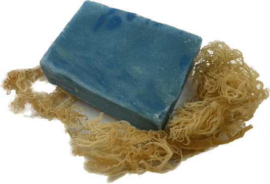 Ocean Blue Sea Moss Unscented Soap Bar 5oz